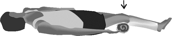 تمرینات عضله چهار سر ران